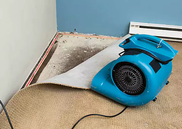 Your Water Damage Experts in Lilburn, GA