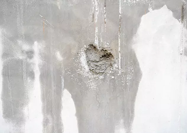 Your Mold Mitigation Solutions Partner in Lilburn, GA