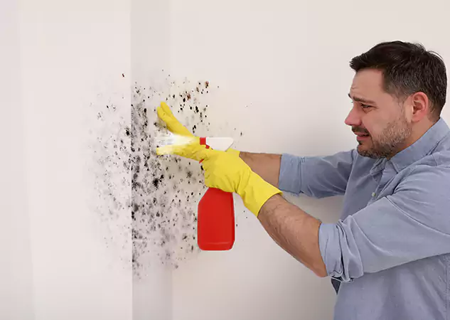 Your Water Mold Fire Restoration Partner in Lilburn, GA