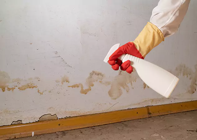 Your Water Restoration and Mold Remediation Specialists in Lilburn, GA