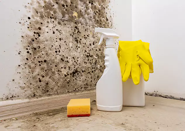 Your Reliable Restoration Company in Lilburn, GA