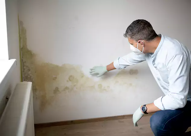 Reach Our Remediation Team Before Damage Grows in Lilburn, GA!