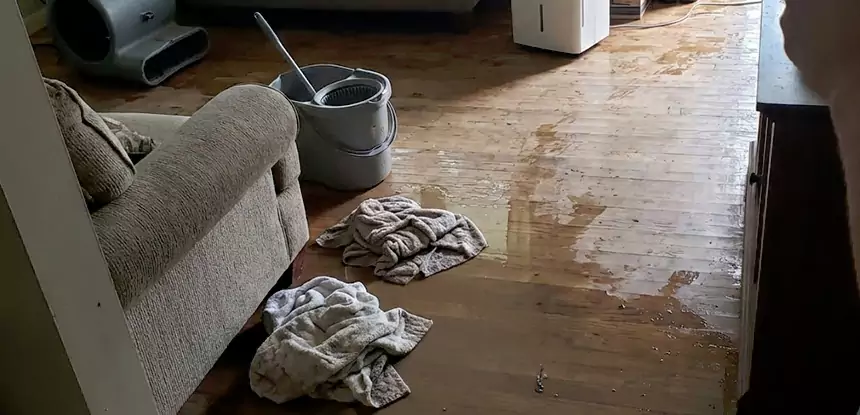 Professional Basement Water Remediation Services in Lilburn, GA