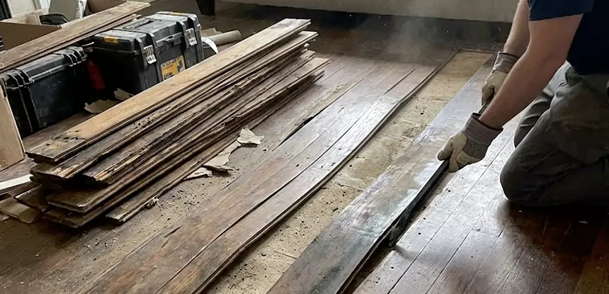 Wood Rot and Fungus Repair in Lilburn
