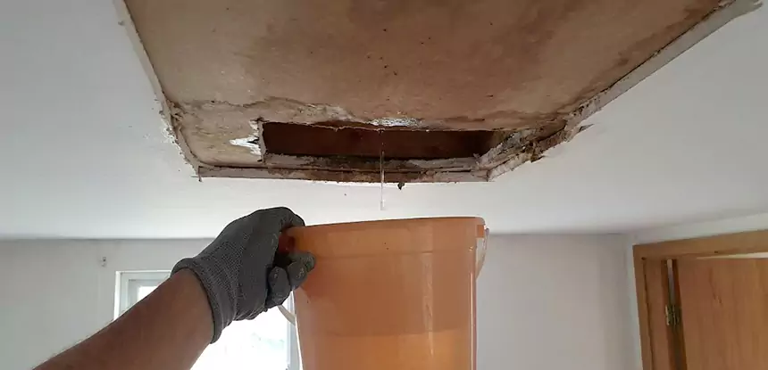 Ceiling Mold Repair Lilburn