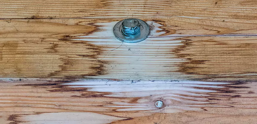 Fixing Water Marks on Wood in Lilburn