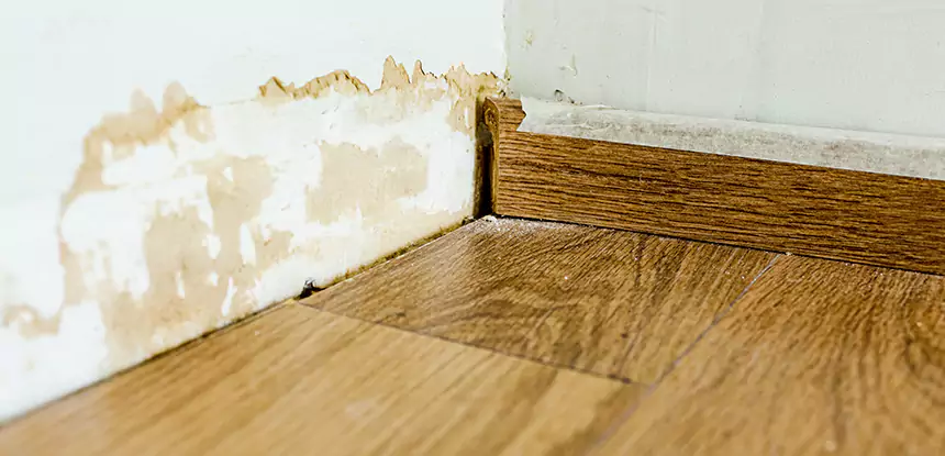 Professional Fix Water Damaged Wood Services in Lilburn, GA