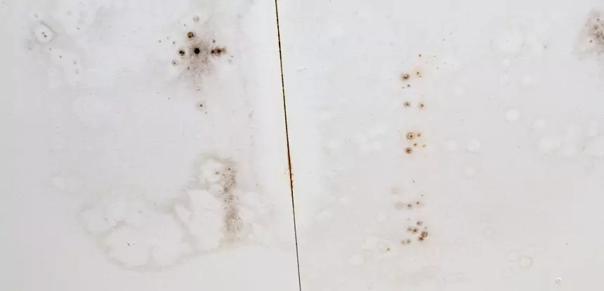 Professional Water Stain Repair Services in Lilburn, GA