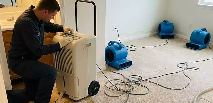 Professional Wet Carpet Removal Services in Lilburn, GA