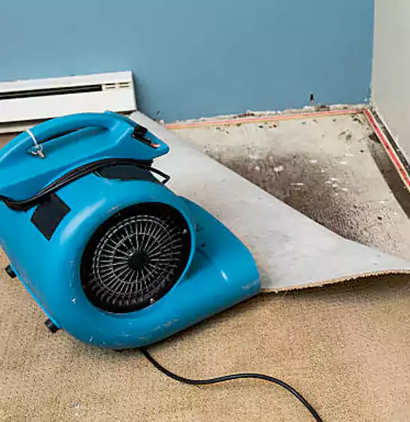 Why Lilburn Trusts Lilburn Restoration Pro for Carpet Flood Recovery?