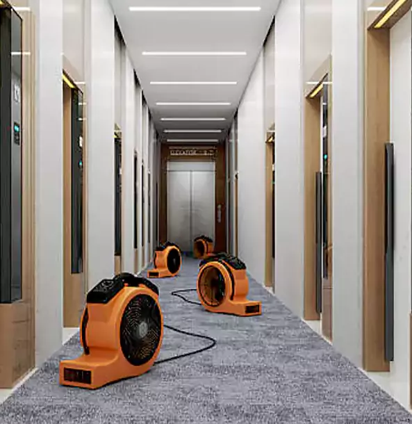Why Lilburn Trusts Lilburn Restoration Pro?