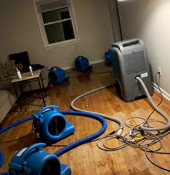 Why Lilburn Calls Lilburn Restoration Pro First for Emergency Restoration?