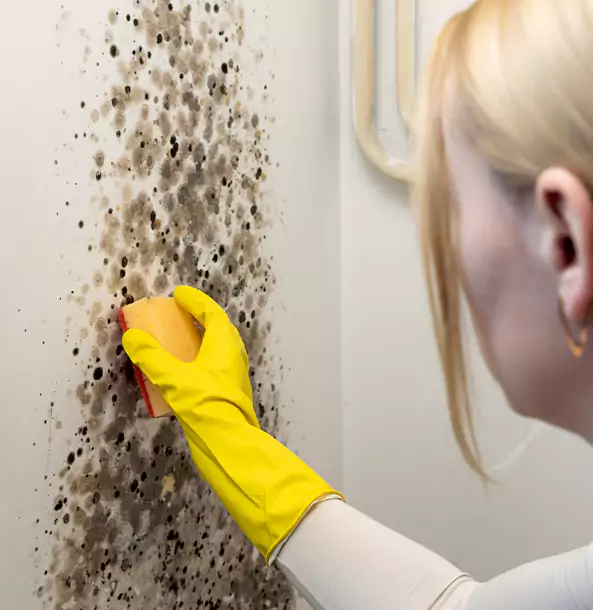 Why Lilburn Restoration Pro Leads Mold Remediation in Lilburn?