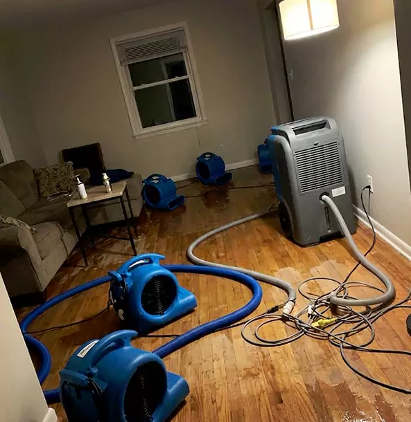 Why Lilburn Property Owners Rely on Lilburn Restoration Pro for Remediation?
