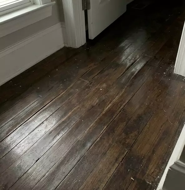 Why Lilburn Homeowners Trust Lilburn Restoration Pro to Fix Water Damaged Wood?