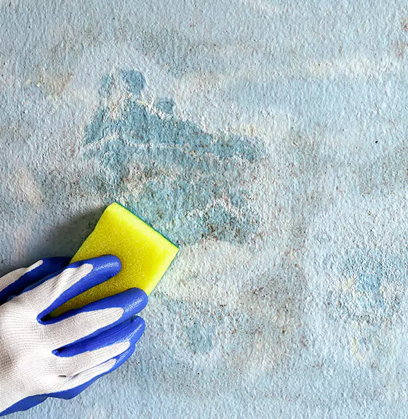 Why Lilburn Restoration Pro Is the Right Choice in Lilburn, GA?