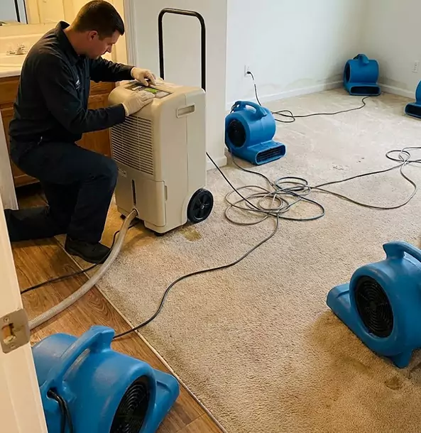 Why Lilburn Homeowners and Businesses Trust Lilburn Restoration Pro for Carpet Drying?