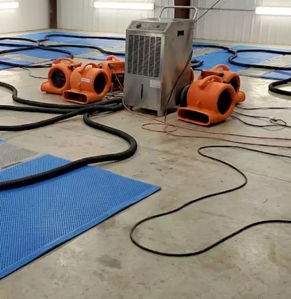 Why Lilburn Homeowners and Businesses Choose Lilburn Restoration Pro for Wet Carpet Removal?