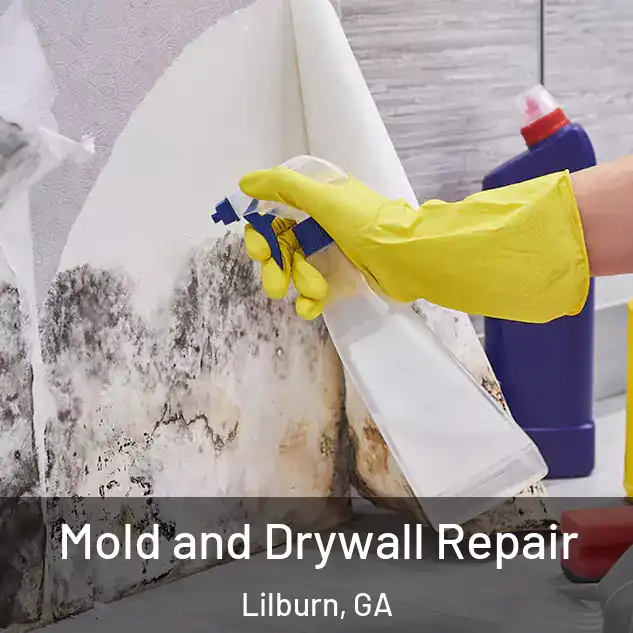  Mold and Drywall Repair Lilburn, GA