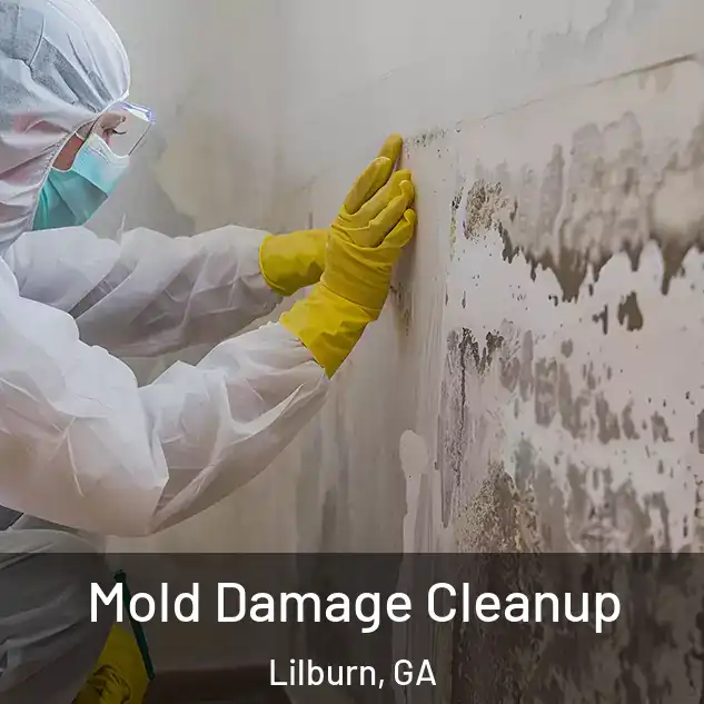 Mold Damage Cleanup Lilburn, GA