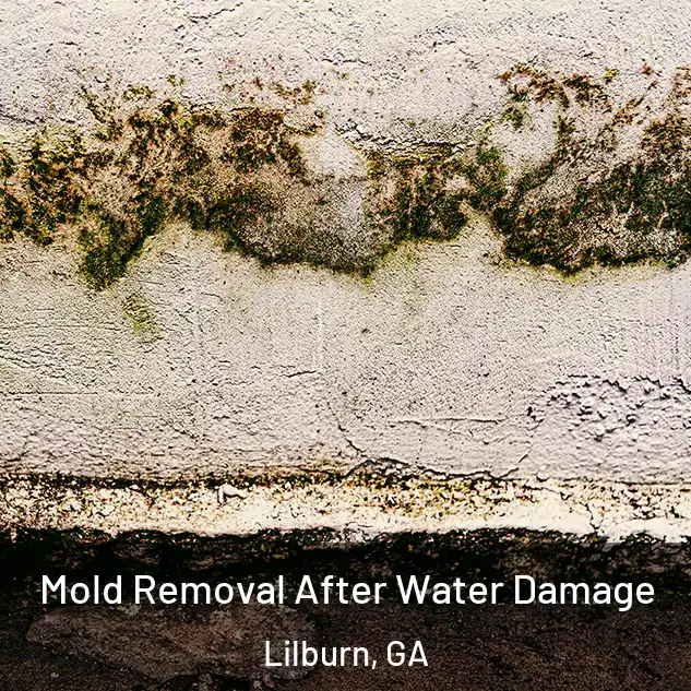  Mold Removal After Water Damage Lilburn, GA