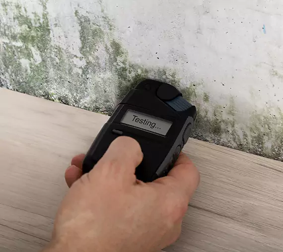 Mold Remediation Service Lilburn